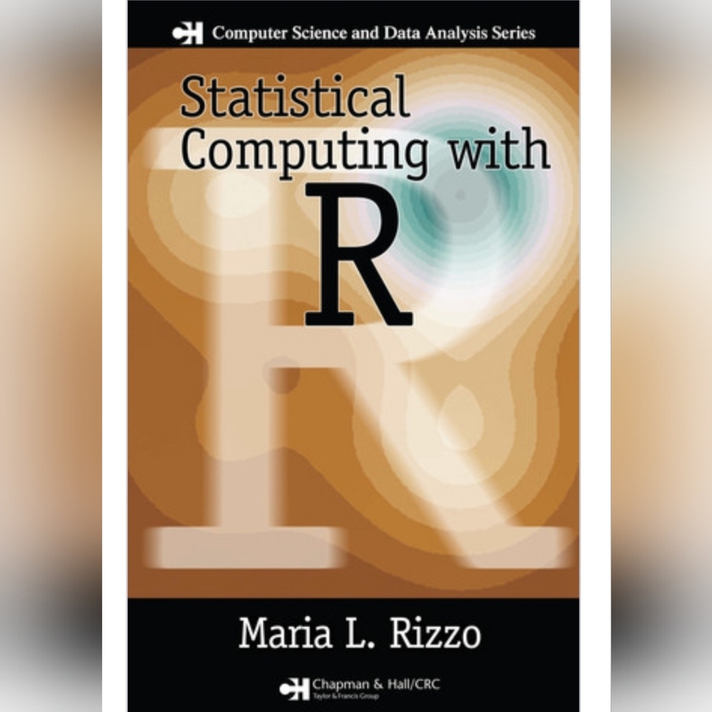 Statistical Computing R BOOK Maria L. Rizzo Computer Science NEW ⭐SHIPS FREE⭐